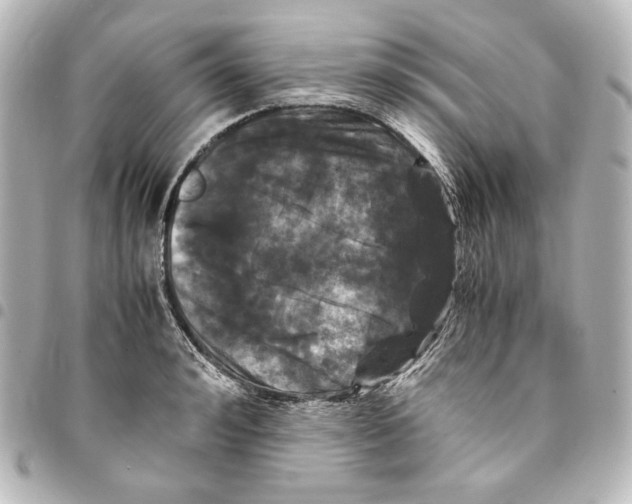 X0000094970992200712271738