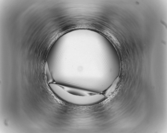 X0000094970993200712271738