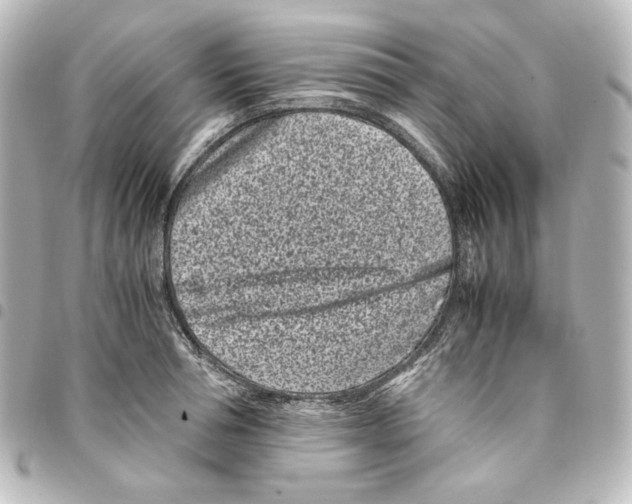 X0000094970994200712271738