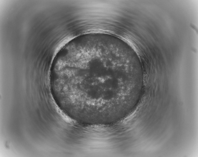 X0000094970995200712271738