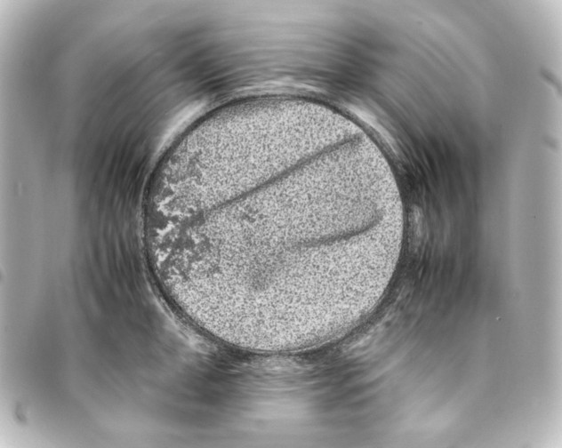 X0000094970998200712271738