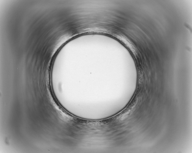 X0000094970999200712271738