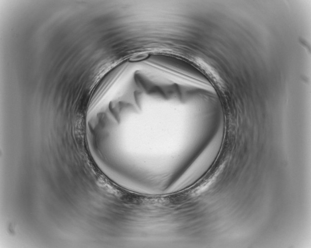 X0000094971001200712271738