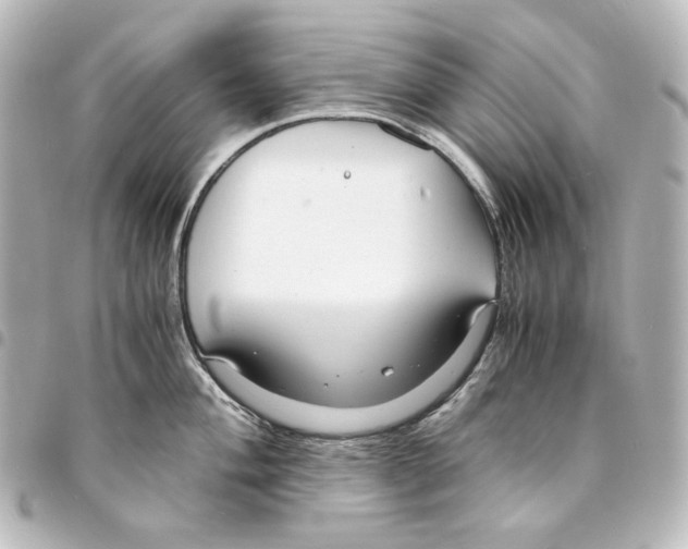 X0000094971004200712271738