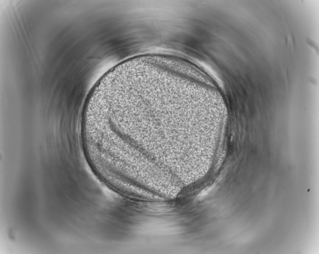 X0000094971007200712271738