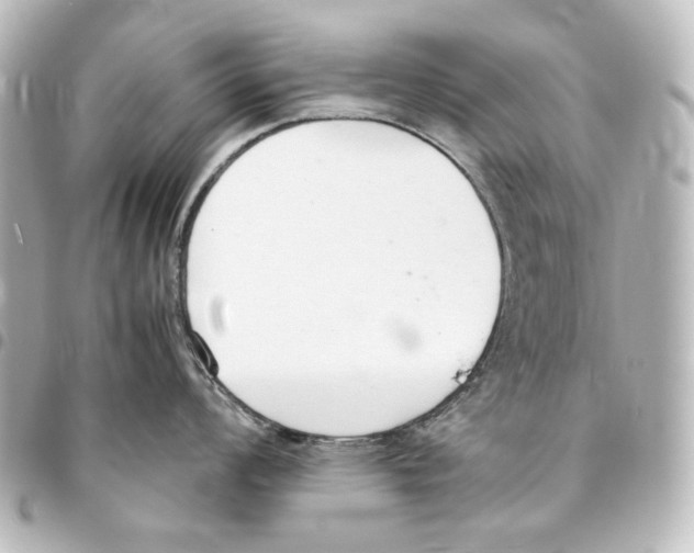 X0000094971008200712271738