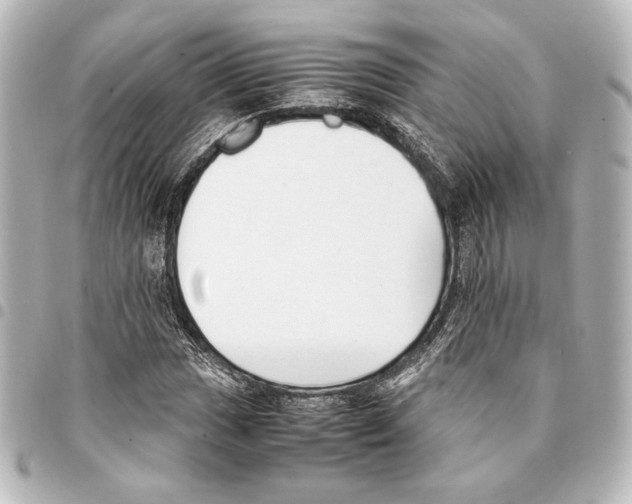 X0000094971017200712271737