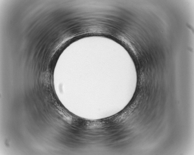 X0000094971019200712271737