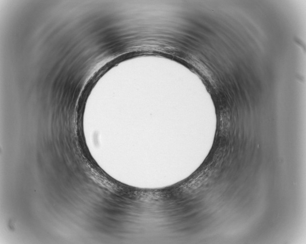 X0000094971020200712271737