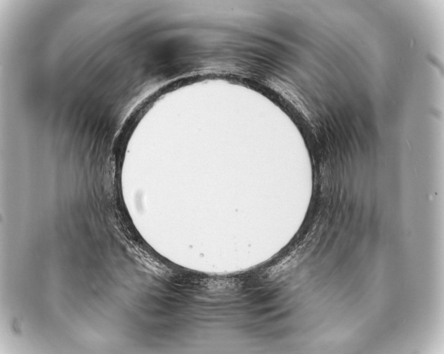 X0000094971021200712271738