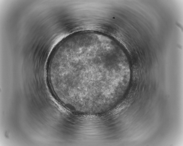 X0000094971024200712271738