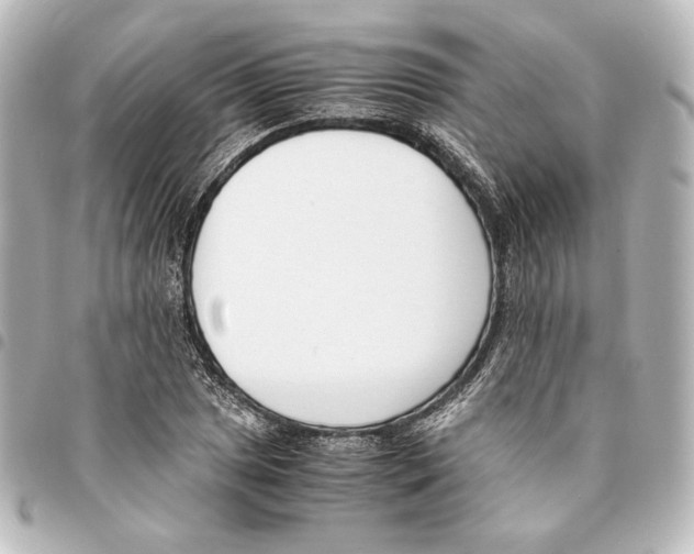 X0000094971025200712271738