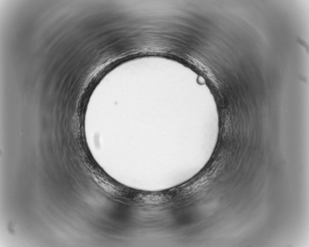 X0000094971027200712271738