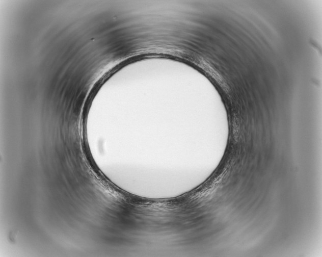 X0000094971028200712271738