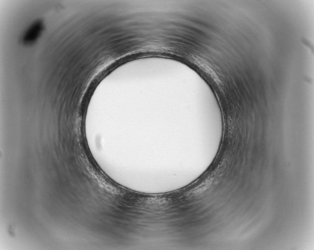 X0000094971029200712271738