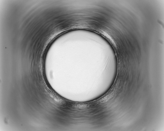 X0000094971035200712271738