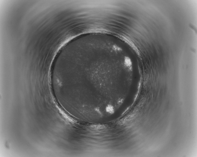 X0000094971037200712271738