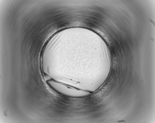 X0000094971039200712271738