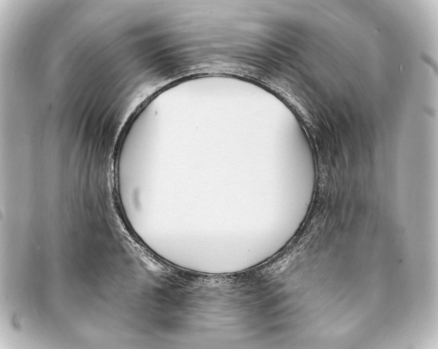 X0000094971040200712271738