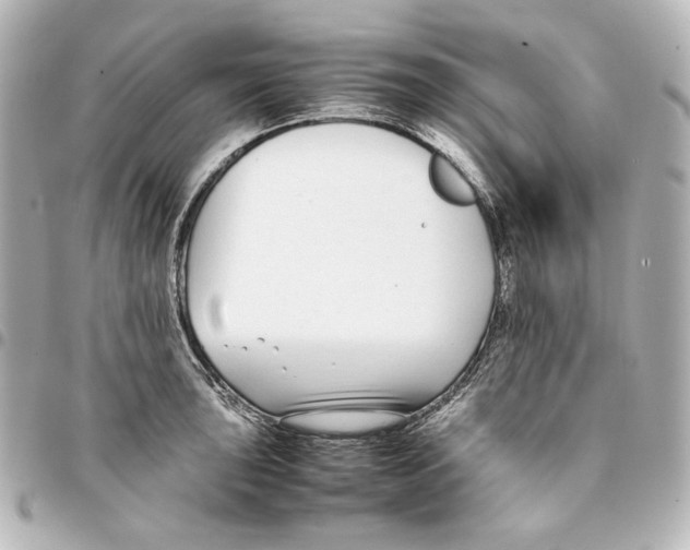 X0000094971043200712271738