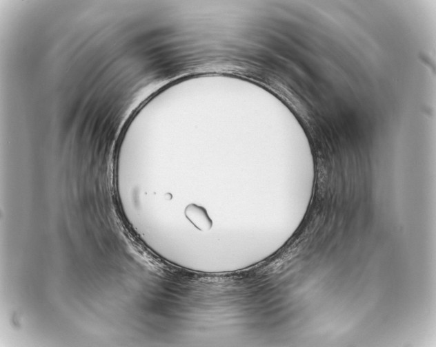 X0000094971044200712271738