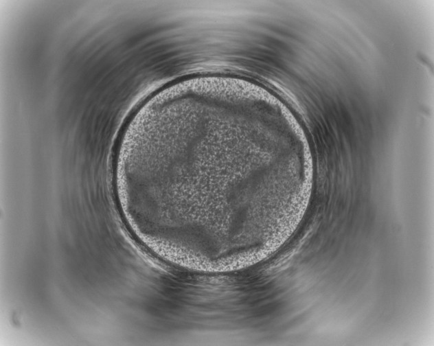 X0000094971045200712271738