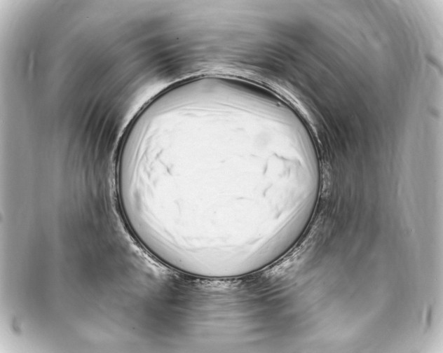 X0000094971048200712271738