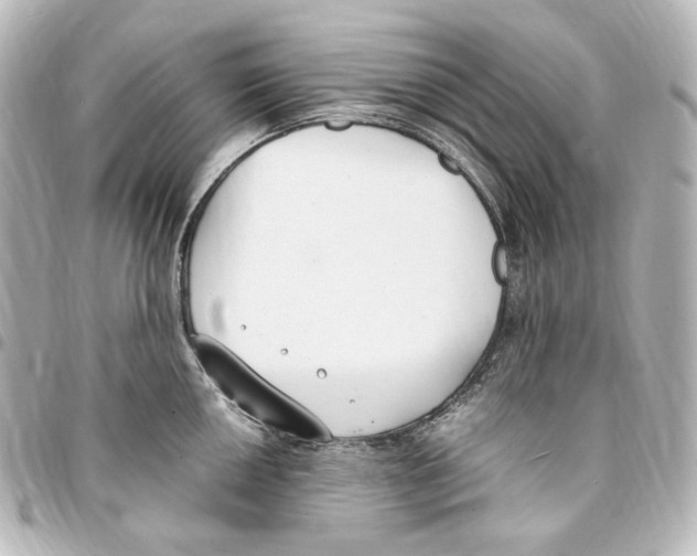 X0000094971050200712271738