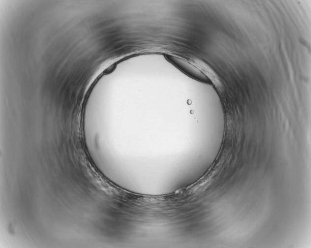 X0000094971052200712271738