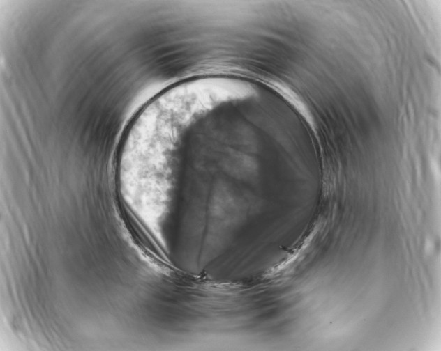 X0000094971053200712271738