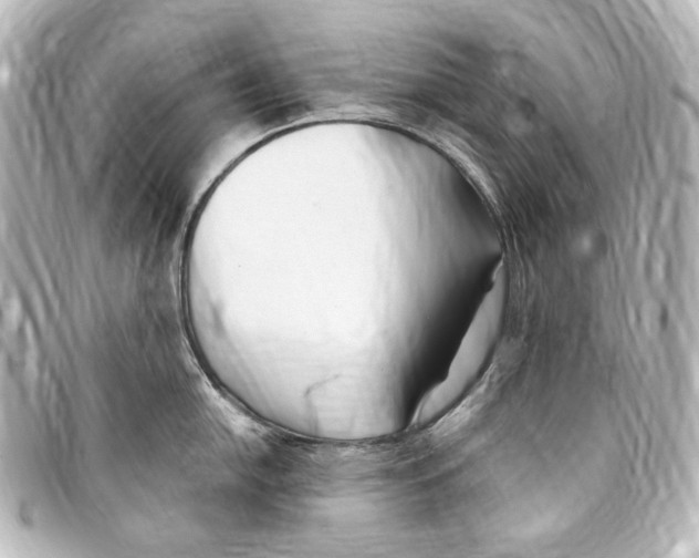 X0000094971054200712271738