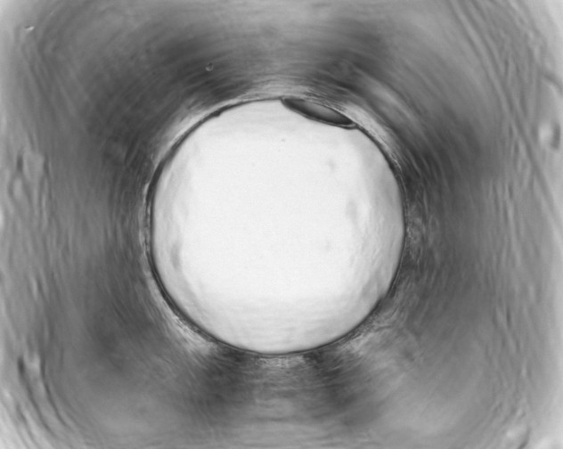 X0000094971055200712271738