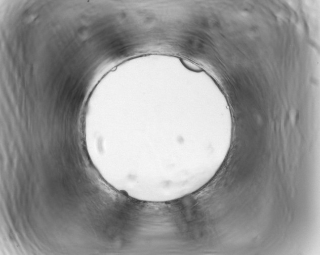 X0000094971056200712271738