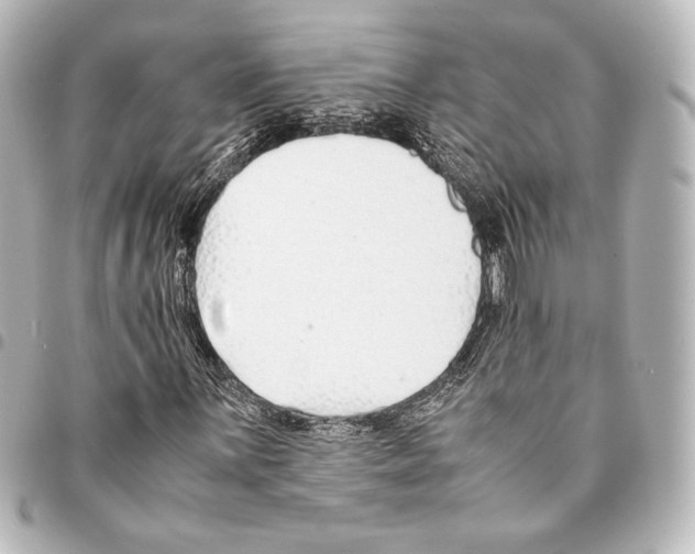 X0000094971059200712271737