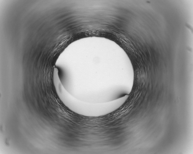 X0000094971060200712271737