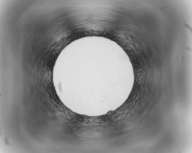 X0000094971061200712271737