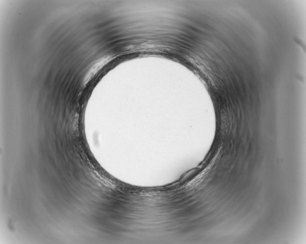 X0000094971066200712271737