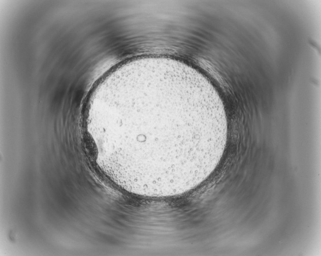 X0000094971071200712271737