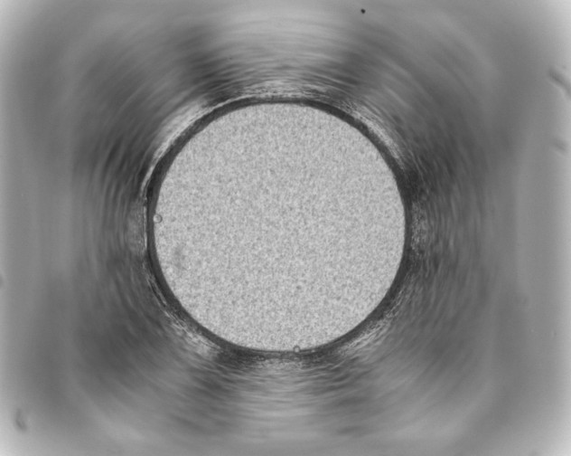 X0000094971075200712271737