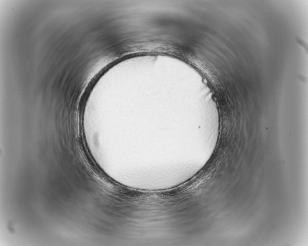 X0000094971079200712271737