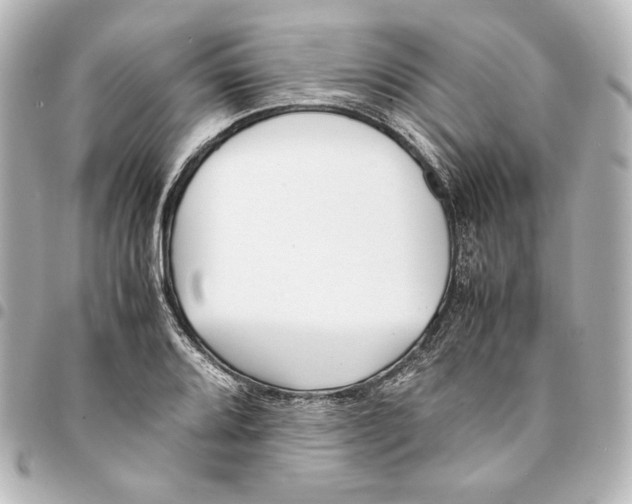 X0000094971080200712271737