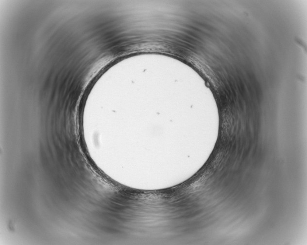 X0000094971082200712271737