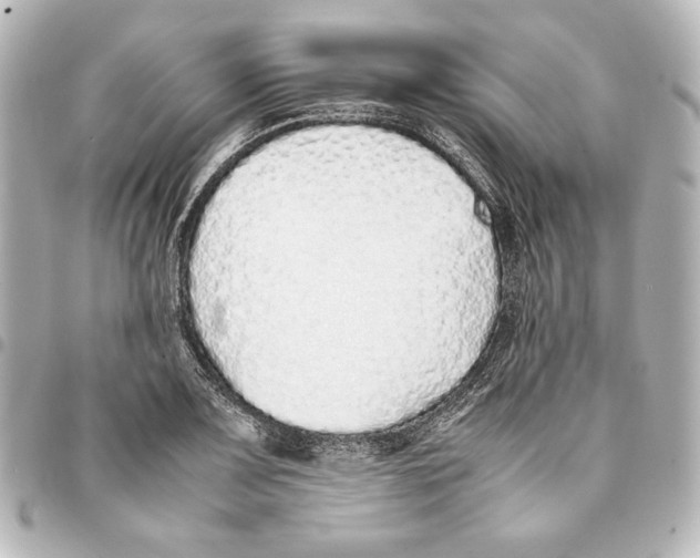 X0000094971083200712271737