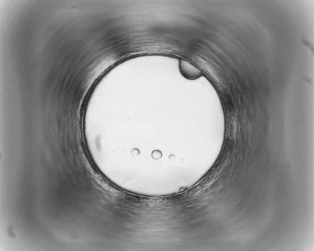 X0000094971087200712271737