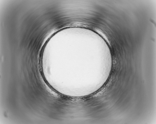 X0000094971091200712271737