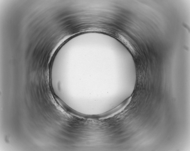 X0000094971092200712271737