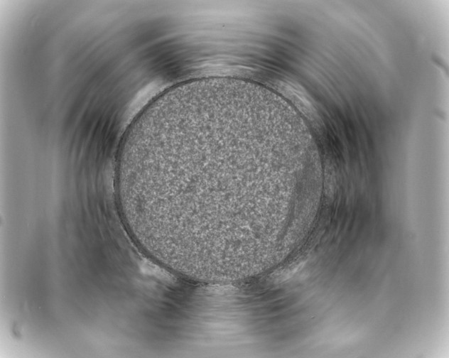 X0000094971094200712271737