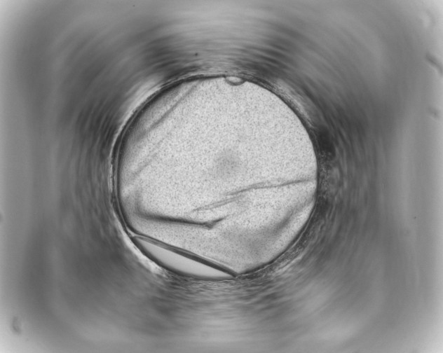 X0000094971095200712271737