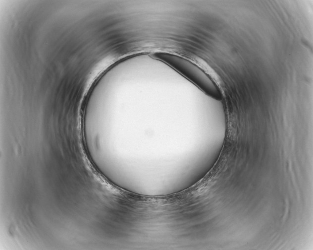 X0000094971096200712271737