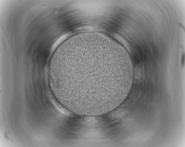 X0000094971098200712271737